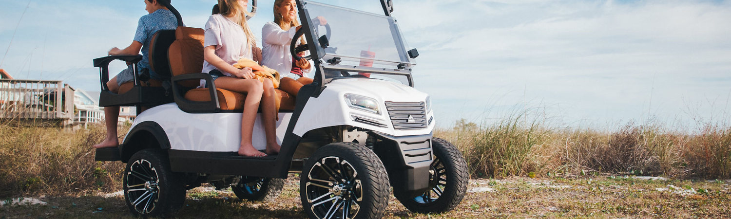 2023 Sierra LSV Golf Carts for sale in Big Time Carts, Palm Harbor, Florida