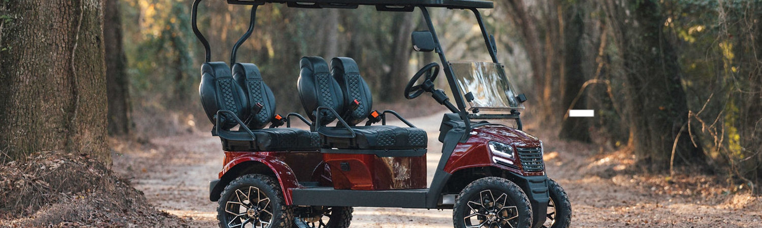 2023 Sierra LSV Golf Carts for sale in Big Time Carts, Palm Harbor, Florida